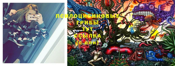 прущая мука Ладушкин