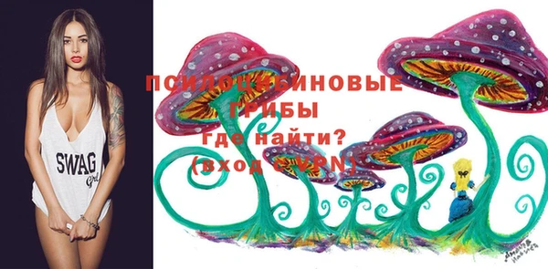 бошки Куйбышев